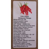 6 Degrees East Heirloom Veg Seeds - Chilli - Malagueta (Birds Eye)